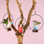 Bromelia mix in a decorative planter “Birdie Mood”