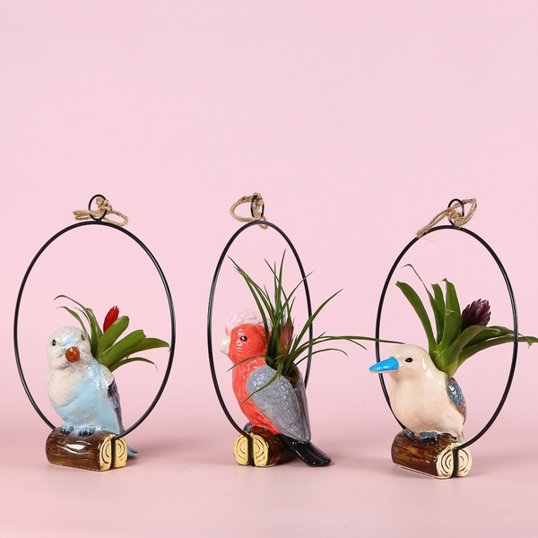 Bromelia mix in a decorative planter “Birdie Mood”