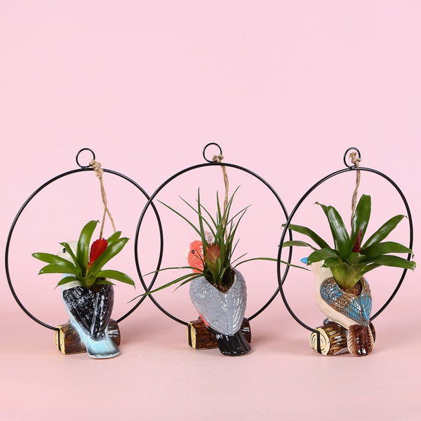 Bromelia mix in a decorative planter “Birdie Mood”