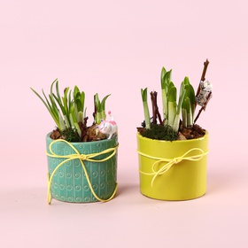 Композиція «Сонячне вітання»