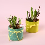 The “Sunny Greeting” composition