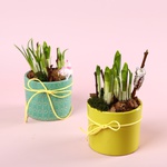 The “Sunny Greeting” composition