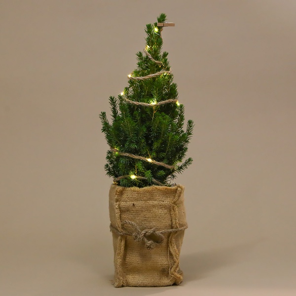 Christmas tree with garland