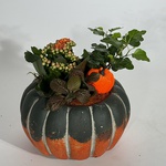 Planting in a pot "Cozy Autumn"