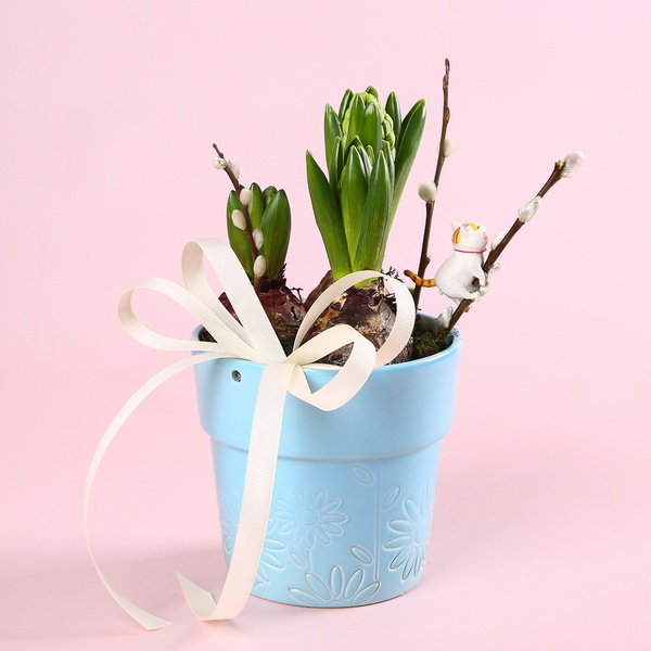 This spring arrangement