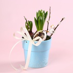 This spring arrangement