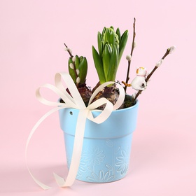 This spring arrangement