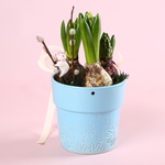 This spring arrangement