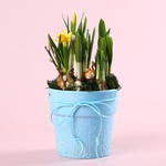 This spring arrangement