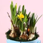 This spring arrangement