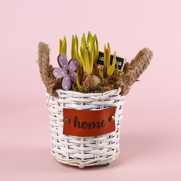 Bulbous flowers in a basket