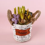 Bulbous flowers in a basket