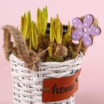 Bulbous flowers in a basket