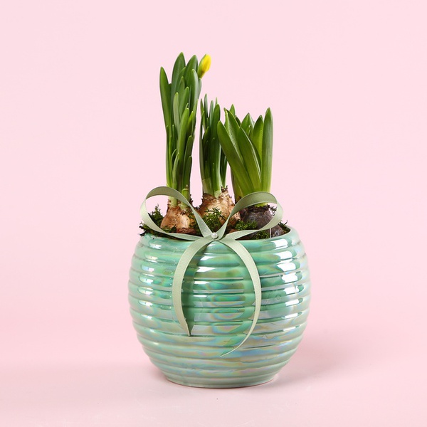 Композиція «Сонячне вітання»