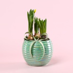 Композиція «Сонячне вітання»