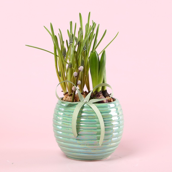 Композиція «Сонячне вітання»