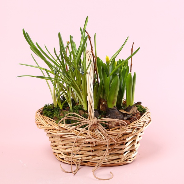 Весенние цветы в корзинке