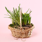 Весенние цветы в корзинке