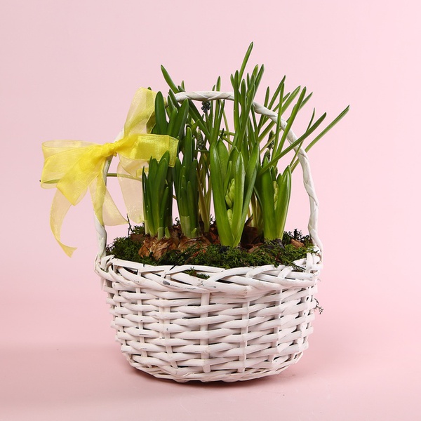 Весенние цветы в корзинке
