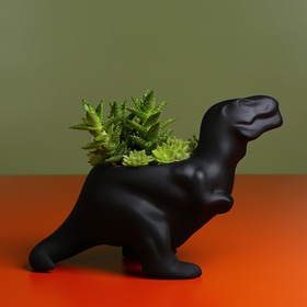 Tyrannosaurus with succulents