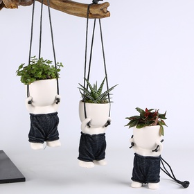 Succulent mix in pots, XS