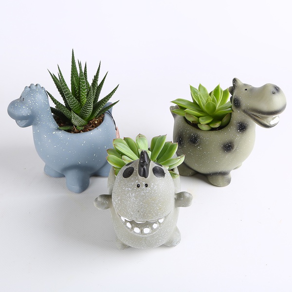 Succulent mix in pots
