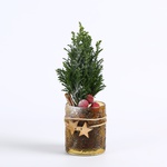 The Christmas tree in the pot is covered with snow