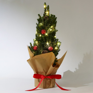 Ялинка з гірляндою