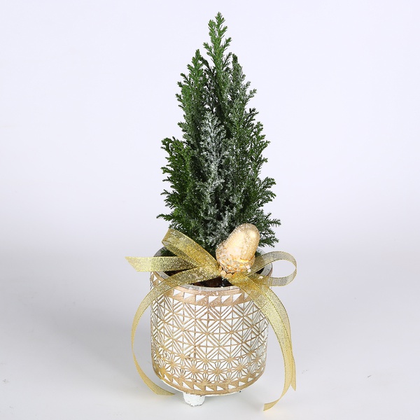 The Christmas tree in the pot is covered with snow