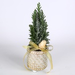 The Christmas tree in the pot is covered with snow