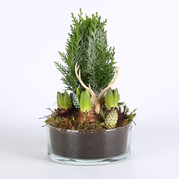 Winter composition in flower pots