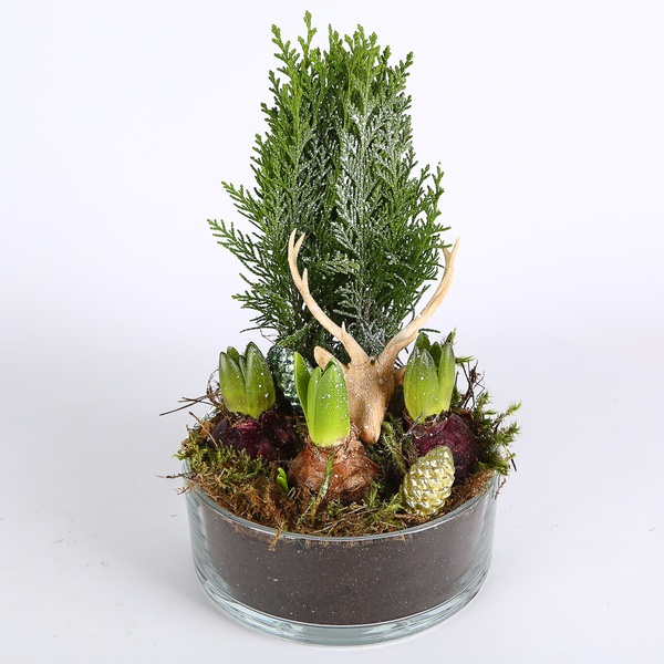 Композиция зимняя в кашпо