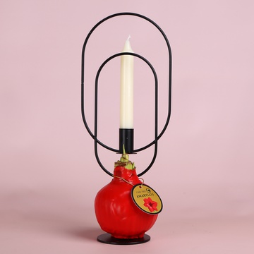 Гіпеаструм (Hippeastrum...waxed)