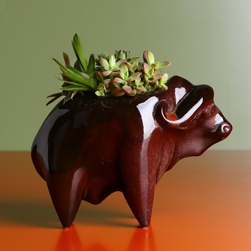 Buffalo in complex glaze with succulents