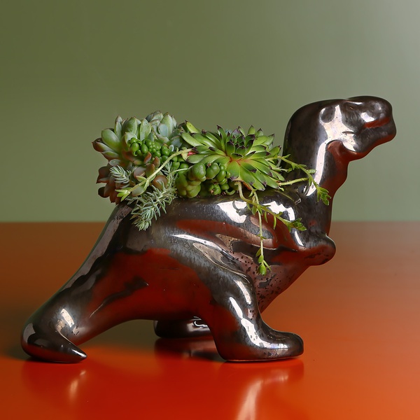 Tyrannosaurus in complex glaze with succulents