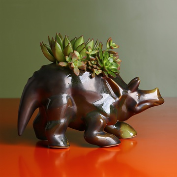 Triceratops in complex glaze with succulents 2
