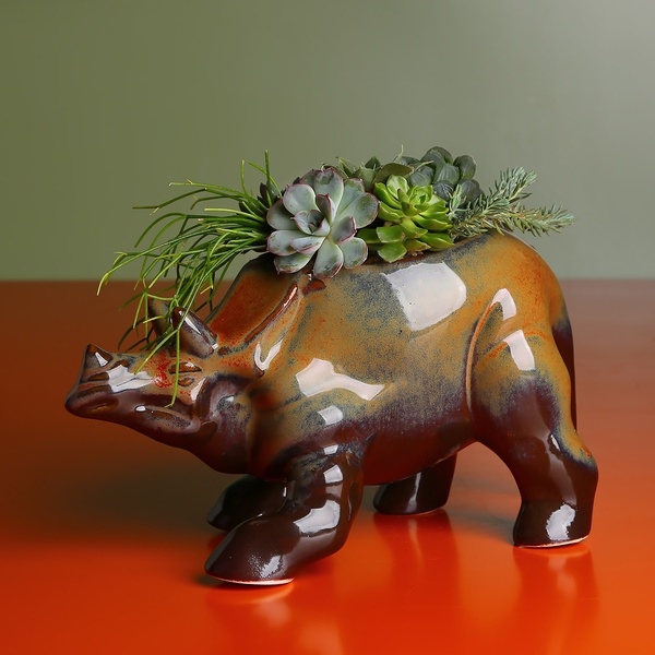 Planting succulents in a Triceratops planter, 2
