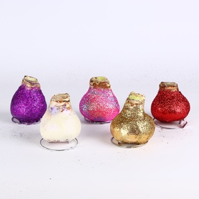 Амариллис в воске с глиттером