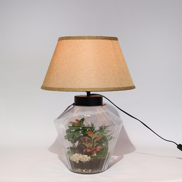 Terrarium lamp "Green Oasis"