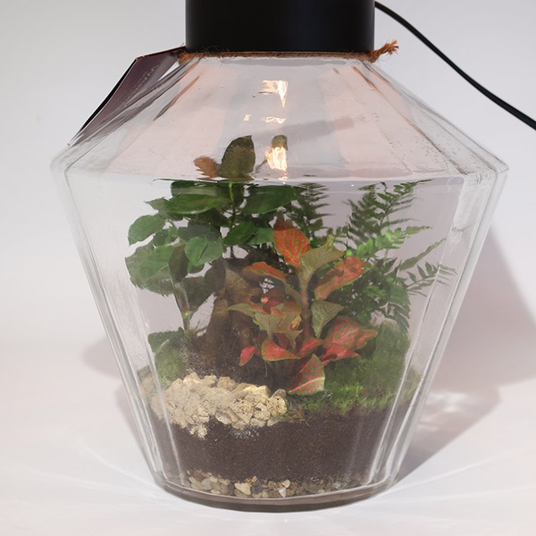 Terrarium lamp "Green Oasis"