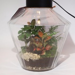 Terrarium lamp "Green Oasis"