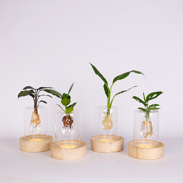 Композиция "Зеленая гармония"