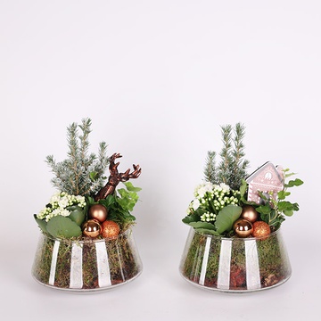 Winter composition "Little Miracle"