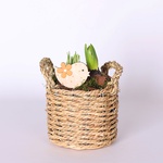 Composition of daffodils in a basket