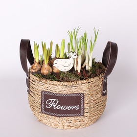 Bulbous flowers in a basket