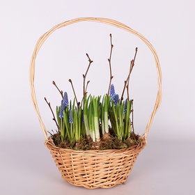 Spring flowers in a basket