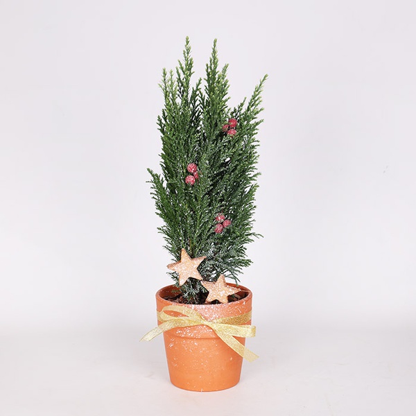 Зимняя композиция "Волшебная туя"