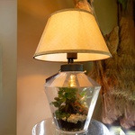 Terrarium lamp "Green Oasis"