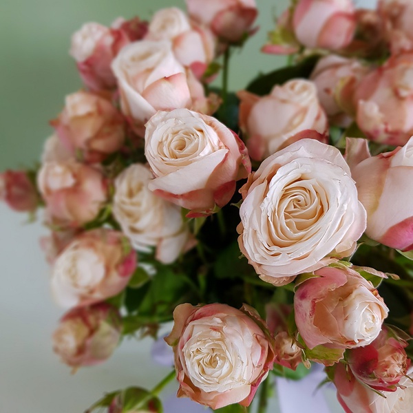 Composition of 35 spray roses