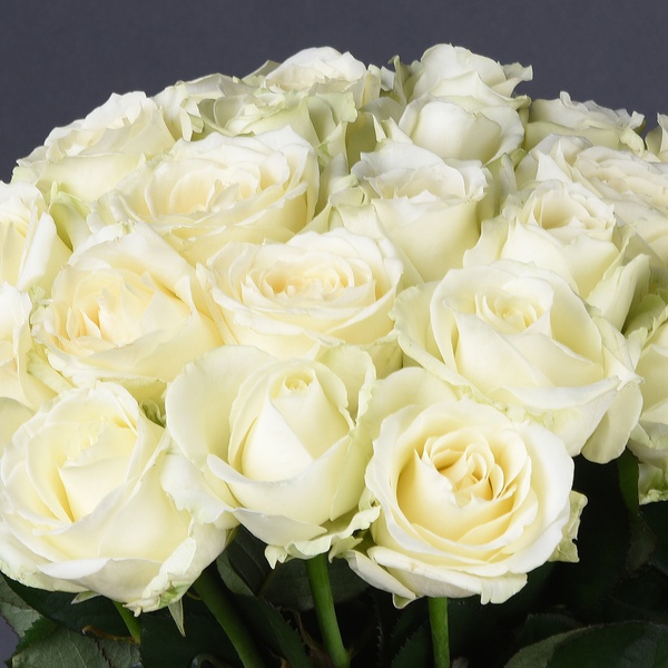 Букет из 25 белых роз Аваланч